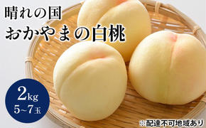 桃 【2025年 先行予約】 晴れの国 おかやま の 白桃 2kg(5～7玉) もも モモ 岡山県産 国産 フルーツ 果物 ギフト