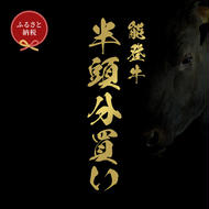 肉【和牛セレブ】能登牛 半頭買い（24分割配送）2個口 黒毛和牛 霜降り ギフト 石川県 能美市