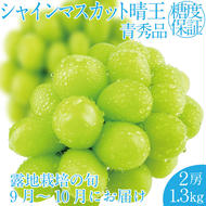 2025年 先行予約受付中 シャインマスカット晴王 2房 約1.3kg 岡山県産 種無し 皮ごと食べる みずみずしい 甘い フレッシュ 瀬戸内 晴れの国 おかやま 果物大国 ハレノフルーツ