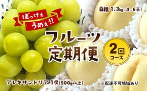 【2025年 先行予約】 ぶどう 桃 ぼっけぇうめぇ フルーツ 定期便 2回 コース ( マスカットオブアレキサンドリア ・ 白桃 )《2025年7月-9月出荷》 岡山県産 フルーツ 果物 数量限定 里庄町