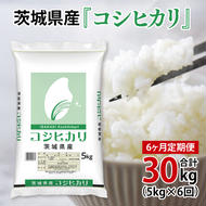 超便利【6ヶ月定期便】計30kg 　令和6年産 茨城県産 コシヒカリ5kg×6回分【お米 コメ こめ こしひかり】(AL061)