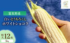 【2025年9月より順次発送】北海道富良野産白い"とうもろこし"「ホワイトショコラ」　特大12本（約5kg）