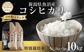 魚沼産 コシヒカリ 特別栽培米 精米 計10kg 5kg×2袋 米 コメ お米 ごはん ご飯 白米 こしひかり 新潟県産 魚沼 人気 国産 産地直送 お取り寄せ 送料無料 新潟県 十日町