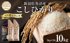 魚沼産 コシヒカリ 精米 10kg 米 コメ お米 ごはん ご飯 白米 こしひかり 新潟県産 魚沼 人気 国産 産地直送 お取り寄せ 送料無料 新潟県 十日町