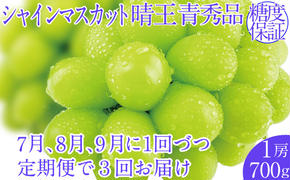 2025年予約受付中【3回定期便】シャインマスカット晴王1房 約700g 7月8月9月に出荷  人気 岡山県産 種無し 皮ごと食べる みずみずしい   おかやま 果物大国 ハレノフルーツ
