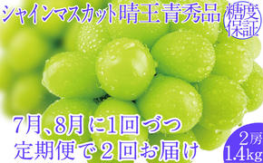 2025年予約受付中【2回定期便】シャインマスカット晴王2房 約1.4kg 7月8月に出荷 人気 岡山県産 種無し 皮ごと食べる みずみずしい  フレッシュ 晴れの国 おかやま 果物大国 ハレノフルーツ