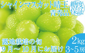 2025年 先行予約受付中 シャインマスカット晴王 約2kg(3～5房） 岡山県産 種無し 皮ごと食べる みずみずしい 甘い フレッシュ 瀬戸内 晴れの国 おかやま 果物大国 ハレノフルーツ