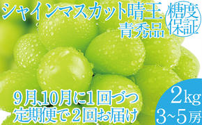 2025年 先行予約受付中【2回定期便】シャインマスカット晴王 約2k(3～5房) 岡山県産 種無し 皮ごと食べる みずみずしい 甘い フレッシュ 瀬戸内 晴れの国 おかやま 果物大国 ハレノフルーツ