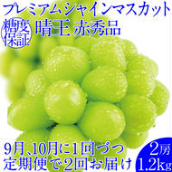 2025年予約受付中【 2回定期便】 プレミアムシャインマスカット晴王 2房約1.2kg 人気 岡山県産 赤秀品  種無し 皮ごと食べる みずみずしい  ハレノフルーツ