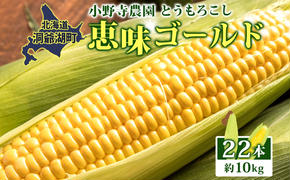 北海道 とうもろこし 恵味ゴールド 約10kg 22本入り 2025年8月11日～31日頃お届け トウモロコシ コーン 甘い 産地直送 BBQ とうきび 国産 人気 バーベキュー 焼きとうもろこし お取り寄せ 北海道産 洞爺湖町 