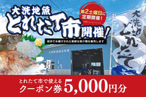 大洗地魚とれたて市クーポン券 5,000円分 (1,000円分×5) 地魚 鮮魚 活魚 朝獲れ 魚介類 漁協 大洗産 大洗 チケット