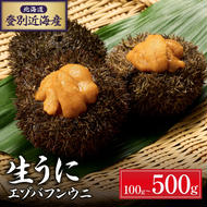北海道 登別近海産 極上エゾバフンウニ パック詰 300g ※2025年6月よりお届け　