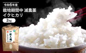 令和6年産 栽培期間中 減農薬 イクヒカリ 2kg