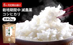 定期便 6回 栽培期間中 減農薬 コシヒカリ 白米 2kg 6ヶ月 定期 お届け