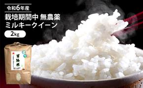 令和6年産 栽培期間中 無農薬 ミルキークイーン 2kg