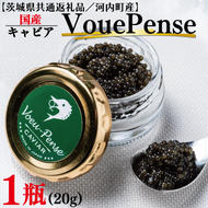 【茨城県共通返礼品／河内町産】国産キャビアVouePense（20ｇ×1瓶）｜キャビア 国産 国産キャビア 共通返礼品 贈り物 ギフト 茨城県 行方市(FH-1)