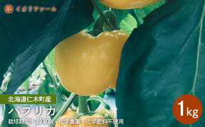 [先行受付]北海道仁木町産 パプリカ1kg [iori farm] 栽培期間中 除草剤・化学農薬・化学肥料不使用【日付指定不可】