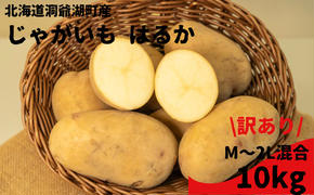 【訳あり】北海道 洞爺湖町 じゃがいも はるか10kg M～2L混合 サイズ無選別 野菜 じゃがいも ジャガイモ 馬鈴薯 芋 いも イモ 旬 野菜 農作物 カレー シチュー肉じゃが