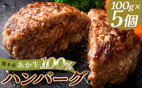 FKK19-998_あか牛100％ハンバーグ（100g×5個）牛 ハンバーグ 牛肉 ビーフ 肉 食品