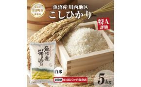 定期便 年4回3ヵ月毎 魚沼産 川西 こしひかり 5kg 精米 米 コメ お米 ごはん ご飯 白米 炊き立て ブランド米 コシヒカリ 魚沼 人気 国産 産地直送 お取り寄せ 送料無料 新潟県 十日町