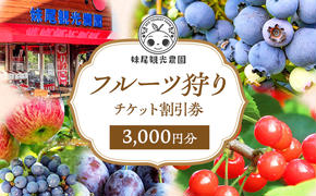 妹尾観光農園 フルーツ狩りチケット3000円 チケット クーポン 利用券 フルーツ 旅行 体験 農園 北海道 仁木町