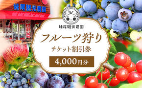 妹尾観光農園 フルーツ狩りチケット4000円 チケット クーポン 利用券 フルーツ 旅行 体験 農園 北海道 仁木町