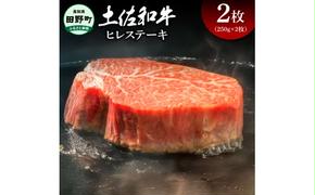 土佐和牛 ヒレステーキ 2枚(250g×2枚）合計500グラム ヒレ ヘレ フィレ テンダーロイン ステーキ 肉 お肉 牛肉 黒毛和種 サシ きめ細やか 赤身 ジューシー 上品 旨味 高知県産
