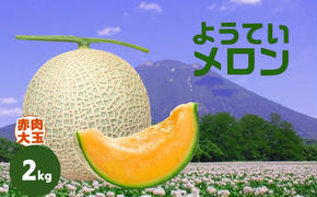 【 2025年発送 】先行予約 北海道 赤肉メロン 大玉 約2kg 1玉 メロン 赤肉 果物 フルーツ 甘い 完熟 スイーツ デザート 産直 国産 贈答品 お祝いギフト羊蹄山 JAようてい