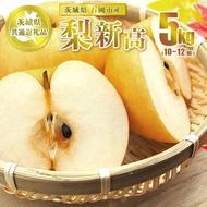 新高 5kg 10～12個【茨城県共通返礼品 石岡市】 ※2025年10月～10月下旬頃に順次発送予定