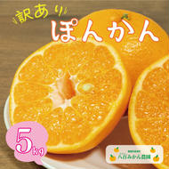 先行予約 訳あり ポンカン 5kg 7000円 ぽんかん みかん mikan 蜜柑 わけあり ミカン 家庭用 産地直送 国産 農家直送 防腐剤不使用 糖度 期間限定 数量限定 特産品 ゼリー ジュース アイス 人気 限定 甘い 果実 果肉 フルーツ 果物 柑橘 先行 事前 予約 受付 ビタミン 健康 美味しい おいしい ジューシー さわやか サイズ ミックス 八百みかん農園 愛南町 愛媛県