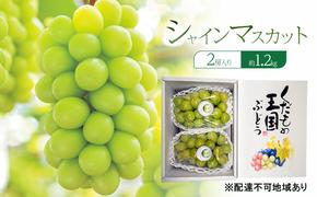 ぶどう 2025年 先行予約 シャインマスカット 2房入り 約1.2kg 岡山県 赤磐市 ブドウ 葡萄 果物 フルーツ