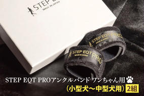 アンクルバンド ワンちゃん用(小型犬〜中型犬用) 2本組 STEP EQT PRO 転倒防止 サポート ハンドメイド 手作り