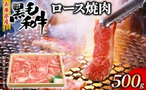 牛肉 兵庫県産 黒毛和牛 焼肉 ロース 500g【牧場直売店】[ お肉 焼肉用 アウトドア バーベギュー BBQ 霜降り ]