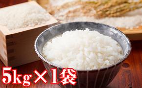 【入金確認後、最短7日発送】令和6年産米 北海道滝川産ゆめぴりか 5kg ※10月中旬・新米からお届け 農家直送｜北海道 滝川市 米 お米 白米 ご飯 ゆめぴりか ユメピリカ 新米