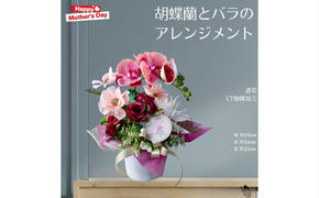 造花 【母の日ギフト】 胡蝶蘭とバラのウッドポットアレンジ フラワーアレンジメント 母の日 ギフト アプリコットカラー 胡蝶蘭 バラ アイボリー ダリア ソフトオレンジ ラナンキュラス 墨田区 東京都