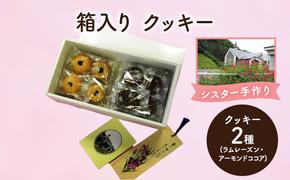 十勝カルメル会シスターが真心こめて作った 箱入り クッキー (ラムレーズン・アーモンドココア)　【 ギフト プチギフト お菓子 お礼 お返し 北海道 十勝 幕別 カルメル イエズス キリスト クッキー 】