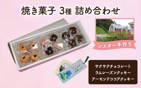 十勝カルメル会シスターが真心こめて作った 焼き菓子 3種 詰め合わせ（サクサク・ラムレーズンクッキー・アーモンドココアクッキー）【 ギフト プチギフト お菓子 お礼 お返し 北海道 十勝 幕別 カルメル イエズス キリスト クッキー 】
