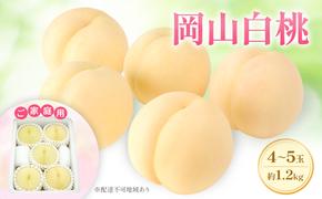 もも 2025年 先行予約 【ご家庭用】 岡山白桃 エース 4～5玉 約1.2kg  (6月下旬～7月下旬出荷予定)