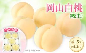 もも 2025年 先行予約 【ご家庭用】 岡山白桃 エース (晩生) 4～5玉 約1.2kg  (8月中旬～8月下旬出荷予定)