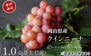 厳選 クイーンニーナ 1.0kg以上 2房 産地直送 朝採れ ぶどう 葡萄 KAWAHARA Green Farm 岡山県産 2025年