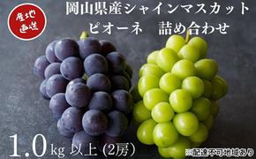 厳選 シャインマスカット・ニューピオーネ 2房 合計1.0kg以上 詰合せ 産地直送 朝採れ ぶどう 葡萄 Kawahara Green Farm 岡山県産 2025年