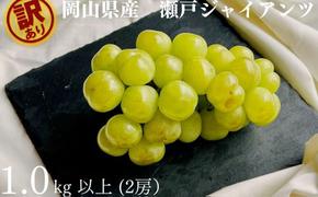 訳あり 瀬戸ジャイアンツ 2房 合計1.0kg以上 産地直送 朝採れ ぶどう 葡萄 岡山 Kawahara Green Farm 岡山県産 2025年