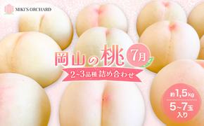 桃 【訳あり 2級品】 2025年 先行予約 岡山の桃 7月の桃 2～3品種 詰め合わせ セット 5～7玉入り 約1.5kg  MIKI’S ORCHARD  もも モモ 果物 岡山 家庭用