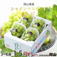 【2025年7月上旬より発送】岡山県産 シャインマスカット 晴王 1.5kg(3房～6房) ぶどう 葡萄 ブドウ フルーツ 果物