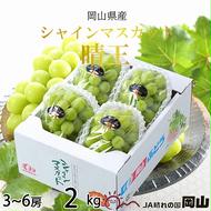 【2025年8月下旬より発送】岡山県産 シャインマスカット 晴王 2kg(3房～6房) ぶどう 葡萄 ブドウ フルーツ 果物