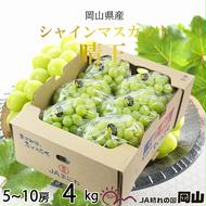 【2025年8月下旬より発送】岡山県産 シャインマスカット 晴王 4kg(5房～10房) ぶどう 葡萄 ブドウ フルーツ 果物