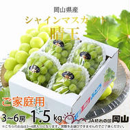 【2025年8月下旬より発送】ご家庭用 岡山県産 シャインマスカット 晴王 1.5kg(3～6房) ぶどう 葡萄 ブドウ フルーツ 果物