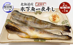 北海道産 訳あり 氷下魚 一夜干し 2kg こまい コマイ 魚 魚介類  白身魚 干物 ひもの 北海道 厚岸町