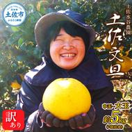 本場、高知県土佐市産！土佐水谷農園の露地土佐文旦 家庭用5キロ 5kg 中玉～大玉（3L～上限なし：7玉前後）皮むき器付き 訳あり 文旦 ぶんたん ブンタン 土佐文旦 ご自宅用 柑橘 フルーツ 果物 土佐 高知