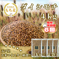 CIB43_【６回定期便】ダイシモチ４ｋｇ もち麦 キラリ もち麦ごはん